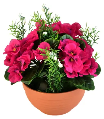 Productafbeelding van Rode paprika's in een terracotta schaal, diameter 20/21 cm