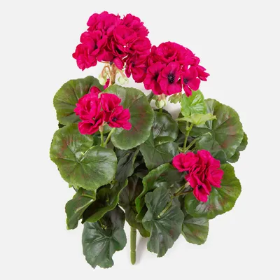 Produktbild von artplants.de Künstliche Geranie CAPH auf Steckstab, violett, 30cm - Künstliche blühende Pflanze