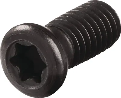 Obrázok produktu pre Uťahovacia skrutka WS0512 veľkosť T20 TECWERK