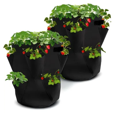 Produktbild von Erdbeer Pflanzsack 2er Set aus Filz - 45 x 35 cm - Pflanzbeutel für Erdbeeren und Kleingemüse