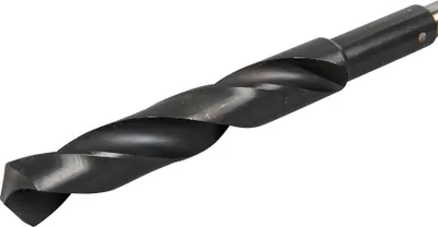 Obrázek produktu pro Vrták na bednění Makita 16 x 600 mm D-70378