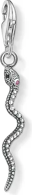 Image de Thomas Sabo Charm 1805-640-7 argent serpent