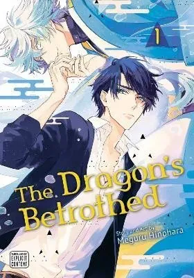 Produktbild von The Dragon's Betrothed, Vol. 1