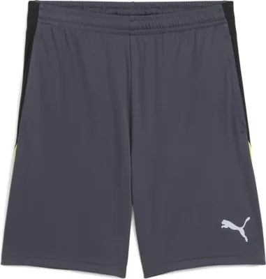 Produktbild von Puma IndividualLIGA Trainingsshorts Herren grau gelb Gr XS