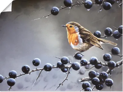 Produktbild von ARTland Poster Vogel im Beerenbaum Größe: 60x45 cm