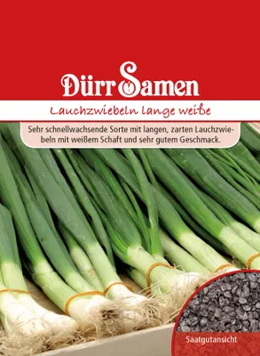 Produktbild von Lauchzwiebeln Lange Weiße | Lauchzwiebelnsamen von Dürr Samen