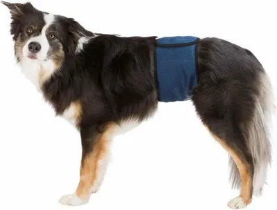 Produktbild von TRIXIE Windeln für Rüden, Mesh-Material, S–M: 37–45 cm, dunkelblau
