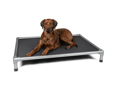 Immagine prodotto di TrendPet HighBed letto alto per cani grigio (125x90x18cm)
