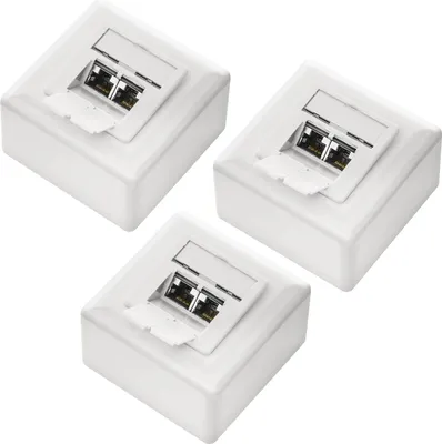 Produktbild von deleyCON 3x CAT 6a Universal Netzwerkdose - 2x RJ45 Port - Geschirmt - Aufputz oder Unterputz - 10 Gigabit Ethernet Netzwerk - EIA/TIA 568A&B - Weiß
