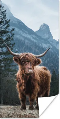 Produktbild von MuchoWow® Poster Schottische Highlander - Tiere - Landschaft 60x120 cm - Wandschmuck