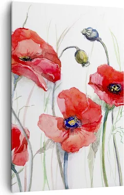 Produktbild von Bild auf Leinwand - Leinwandbild - Einteilig - Blume Mohn Wiese - 80x120cm - Wand Bild - Wanddeko - Wandbilder - Leinwanddruck - Wanddekoration - Leinwand bilder - Wandbild - PA80x120-3584