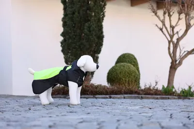 Immagine prodotto di Cappotto per cani Malmö, 43-67 cm, M, riflettente, Kerbl