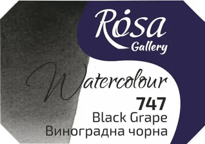 Obrázok produktu pre Rosa 343747 Akvarelová farba 747 Black Grape 2,5 ml 1 ks