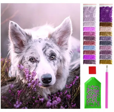 Produktbild von ARTULIO Diamond Painting Set - Niedlicher Hund zwischen violetten Heideblüten - 30 x 40 cm - 5D Crystal Art, Bilder DIY