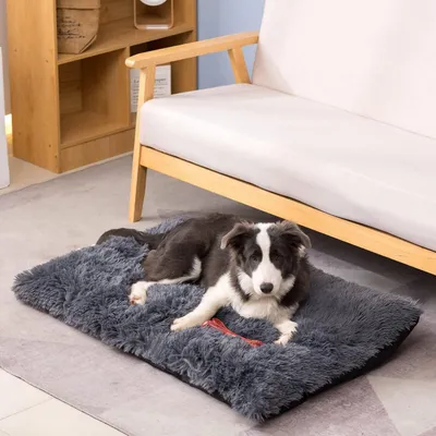 Immagine prodotto di Cuccia per cani, 100x70x10 cm, grigia, lavabile, con rivestimento removibile, antiscivolo, rettangolare