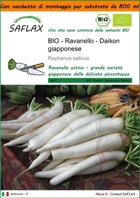 Immagine prodotto di SAFLAX Garden in the bag - BIO - Ravanello - Daikon giapponese - 100 semi - Raphanus