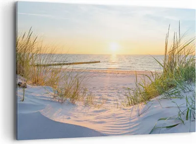 Produktbild von Bild auf Leinwand - Leinwandbild - Düne Strand Meer - 100x70cm - Wand Bild - Wanddeko - Wandbilder - Leinwanddruck - Bilder - Kunstdruck - Wanddekoration - Leinwand bilder - Wandkunst - AA100x70-3989