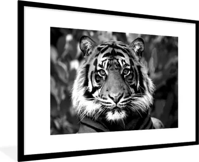 Produktbild von MuchoWow® MuchoWow® Gerahmtes Poster Tiger - Fell - Schwarz - Weiß 90x60 cm - Poster mit zchwarzem Bilderrahmen - Wanddekoration - Fotos