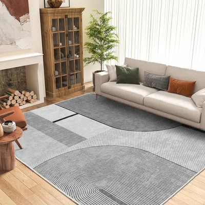 Immagine prodotto di Conceptum Hypnose, Infkece14, tappeto, grigio, 100% POLIESTERE, 160 x 230 cm