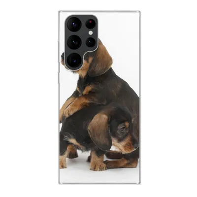 Produktbild von MuchoWow® Handyhülle Schutzhülle Hülle für Samsung Galaxy S22 Ultra Studiofoto von zwei süßen Dackeln Silikon Softcase Handy Hülle - Abbildung