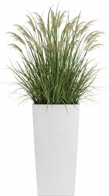Image de HowHomely | Bac à fleurs - Jardinière - blanc - L29xH57 cm - Pot de fleurs - Cache-pot - Structure rainurée