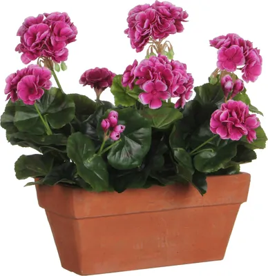 Obrázek produktu pro Mica Decorations Umělá rostlina Geranium v balkonovém boxu - D29 x Š13 x V40 cm - fialová