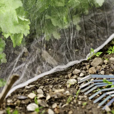 Produktbild von Insekten Schutznetz für Gemüsebeete