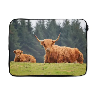 Produktbild von MuchoWow® Laptop Hülle 14 ZollSchottische Highlander - Gras - Wald Laptoptasche - Laptoptasche - Stoßsicher - Schutzhaube