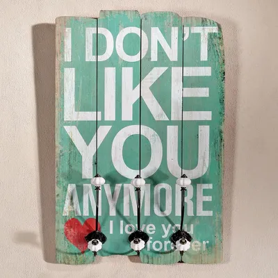 Produktbild von Wandgarderobe 40x60cm I Don't Like You 3 Kleiderhaken Flurpaneel Holz Dekoration