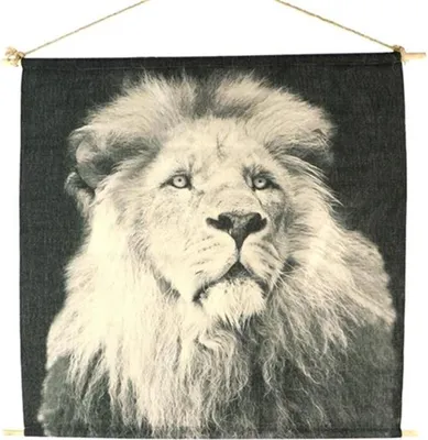 Produktbild von HBX natural living Wanddekoration Löwe Baumwolle Kinderzimmer 70x70cm