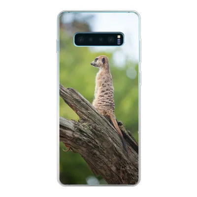 Produktbild von MuchoWow® Handyhülle Schutzhülle Hülle für Samsung Galaxy S10 Plus Erdmännchen - Ast - Baum Silikon Softcase Handy Hülle - Schutzhülle