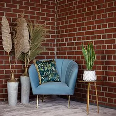 Produktbild von 2er-Set Bogenhanf - Sansevieria trifasciata 'Laurentii' - Höhe ca. 65 cm, Topf-? 17 cm
