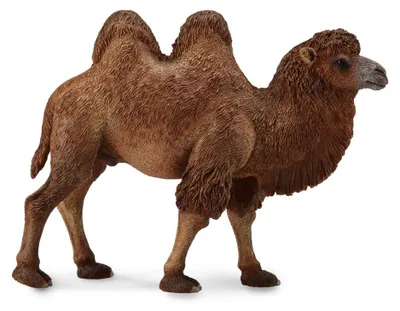 Produktbild von Collecta Trampeltier Camel Figur Bactrian Tierfigur Dekofigur Wildtiere Tiere