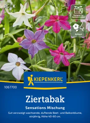 Produktbild von Kiepenkerl Ziertabaksamen Sensations 150 Pflanzen
