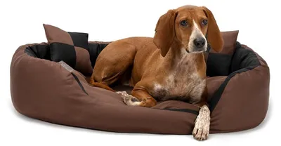 Immagine prodotto di Cuccia per cani 4-in-1 con cuscino reversibile e materiale idrorepellente