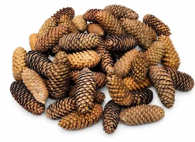 Produktbild von Fichtenzapfen Natur, 1 kg, 6 bis 12 cm, ca. 40 bis 50 Stk., Weihnachtsdeko