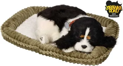 Obrázok produktu pre Perfect Petzzz 96422 Kokeršpaniel