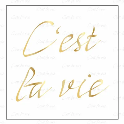 Produktbild von homeBLOCKrocks® MAGNET „cestlavie“