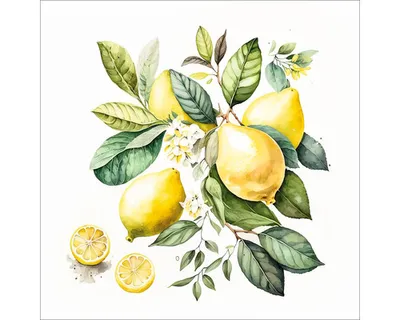 Produktbild von Glasbild Lemons I GLA2688 20x20 cm