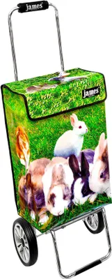 Produktbild von James Einkaufstrolley - RABBIT - stabiler Einkaufswagen mit individuellem Design - einfarbig: grün in Ausführung: Chrome19