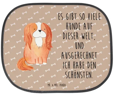 Produktbild von Mr. & Mrs. Panda Sonnenschutz Fürs Auto Hund Cavalier King Charles Spaniel - Hundeglück - Geschenk, Sonnenblende, Sprüche, Bester, pkw, Cockerspaniel, Autoscheiben