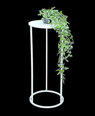 A white metal plant stand with a trailing green plant on top, set against a black background.