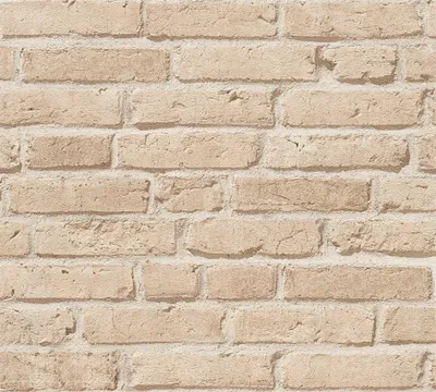 Obrázek produktu pro A.S. Création Vliestapete Best of Wood`n Stone 2nd Edition Tapete beige 10,05 m x 0,53 m 355812 35581-2