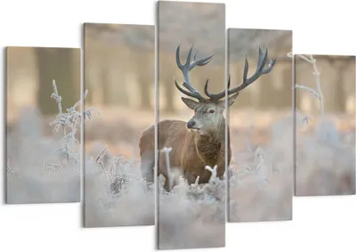 Produktbild von Bild auf Leinwand - Leinwandbild - Hirsch Wald Natur - 150x100cm - Wand Bild - Wanddeko - Leinwanddruck - Bilder - Kunstdruck - Wanddekoration - Leinwand bilder - Wandkunst - EA150x100-3744