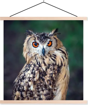 Produktbild von MuchoWow® Textilposter Eule 40x40 cm mit holzfarbenen Rahmen - Posterleiste