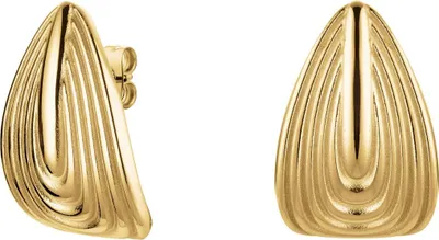 Image de Charmantes boucles d'oreilles pour femmes JEREG-J965