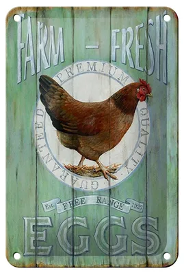 Produktbild von Blechschild Spruch 12x18cm Huhn Farm fresh Eggs free range