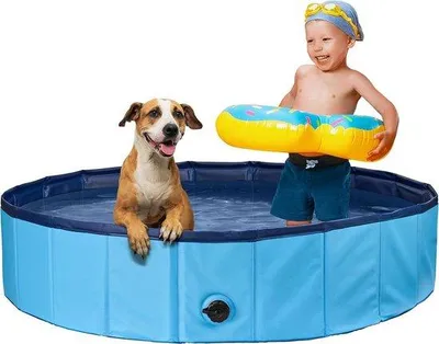 Produktbild von Famanu Faltbares Hundepool - Multifunktionales Planschbecken mit Ablassventil - 160x30 Blau