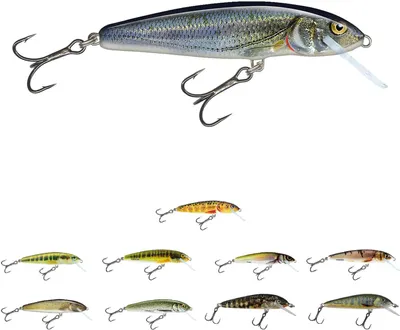 Zdjęcie produktu dla Salmo Minnow Floating Holo Real Minnow 5 cm 3 g Wobler