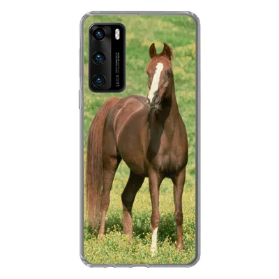 Produktbild von MuchoWow® Handyhülle Schutzhülle Hülle für Huawei P40 Pferde - Gras - Braun Silikon Softcase Handy Hülle - Handytasche